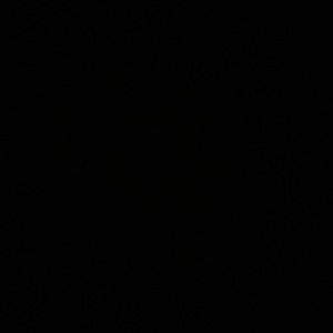 Meet your Posher, Stefany